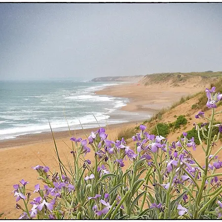 La Fleur De Sel Hébergement de vacances
